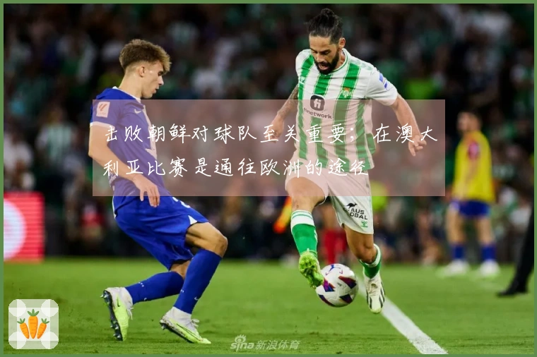 击败朝鲜对球队至关重要；在澳大利亚比赛是通往欧洲的途径