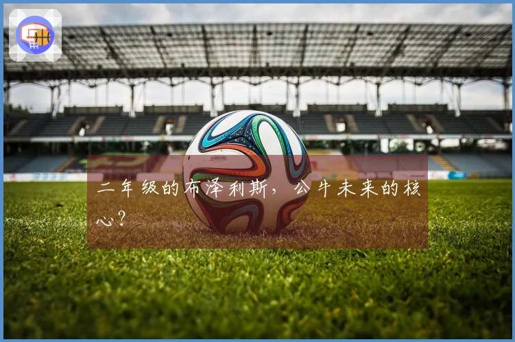 二年级的布泽利斯，公牛未来的核心？