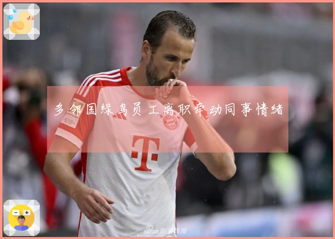 多邻国绿鸟员工离职牵动同事情绪
