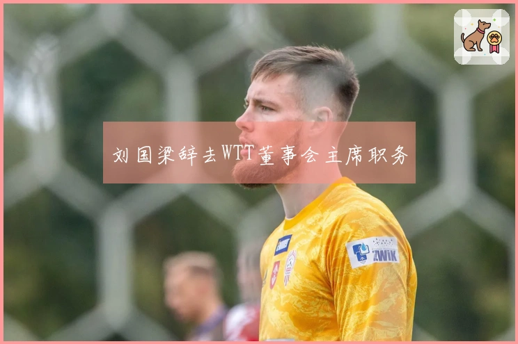 刘国梁辞去WTT董事会主席职务