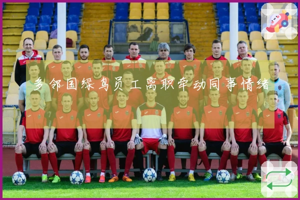 多邻国绿鸟员工离职牵动同事情绪